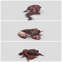 Ultimate Gore 80+ - ViceVoxel
