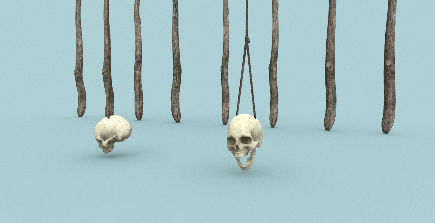 Ultimate Bones 65+ - ViceVoxel