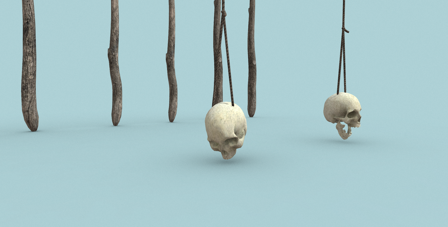 Ultimate Bones 65+ - ViceVoxel