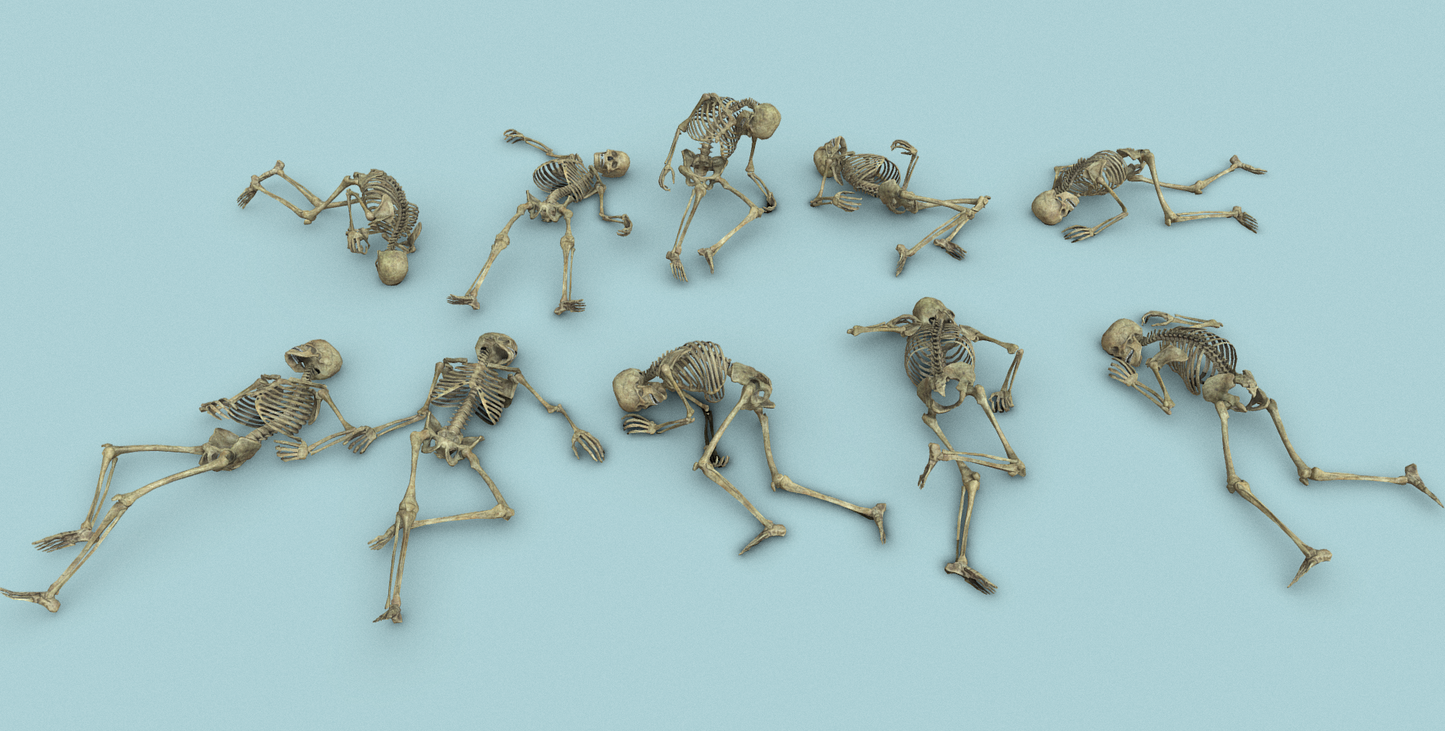 Ultimate Bones 65+ - ViceVoxel