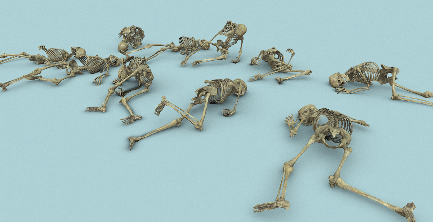 Ultimate Bones 65+ - ViceVoxel