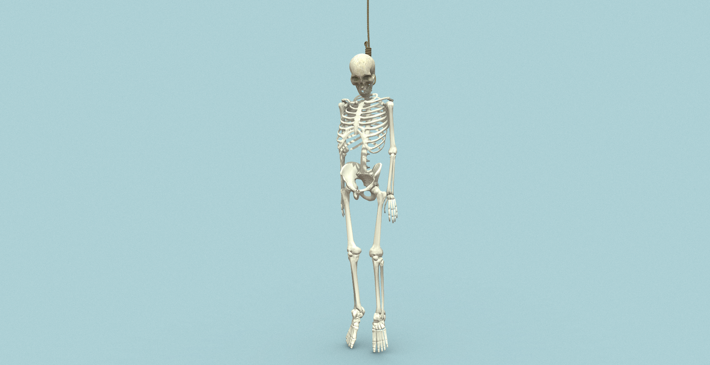 Ultimate Bones 65+ - ViceVoxel