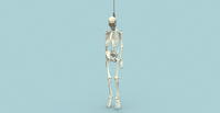 Ultimate Bones 65+ - ViceVoxel