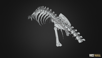 PBR Dinosaur Bone