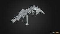 PBR Dinosaur Bone