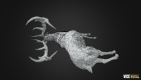 PBR Dead Deer