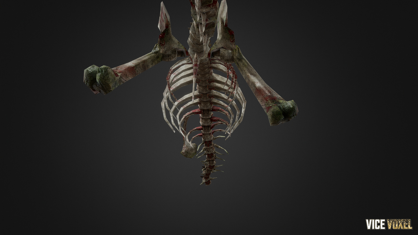 PBR Dinosaur Bone