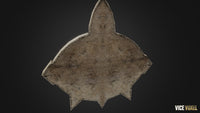 PBR Ancient Eye
