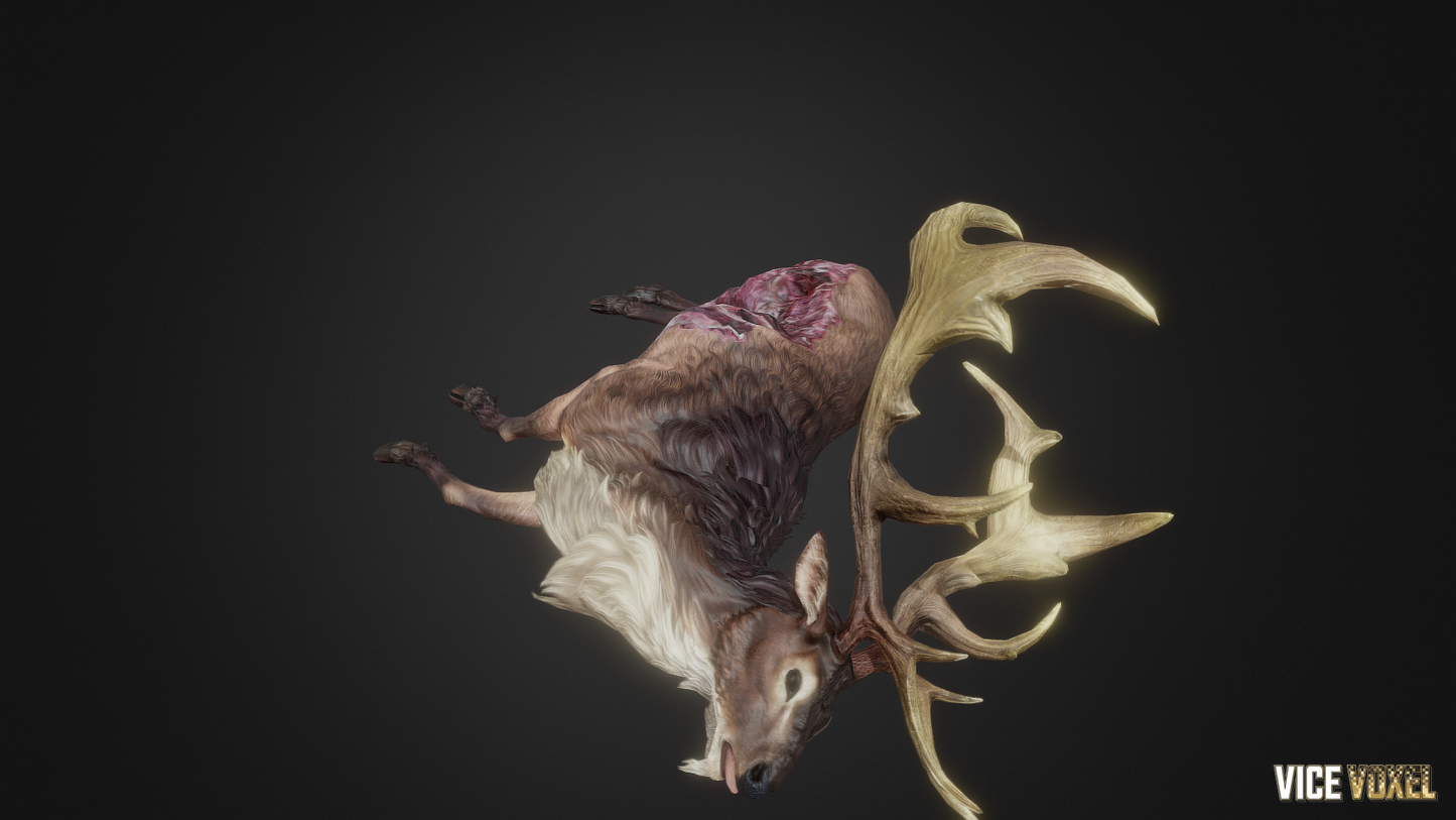 PBR Dead Deer