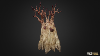 High Tree