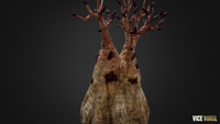 High Tree