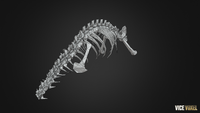 PBR Dinosaur Bone