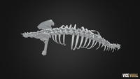 PBR Dinosaur Bone