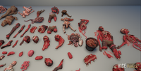 Ultimate Gore