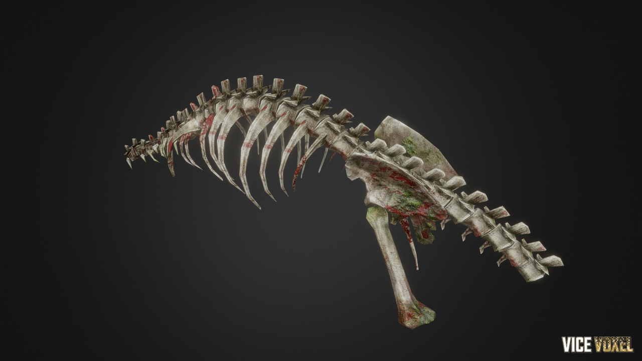 PBR Dinosaur Bone