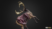 PBR Dead Deer