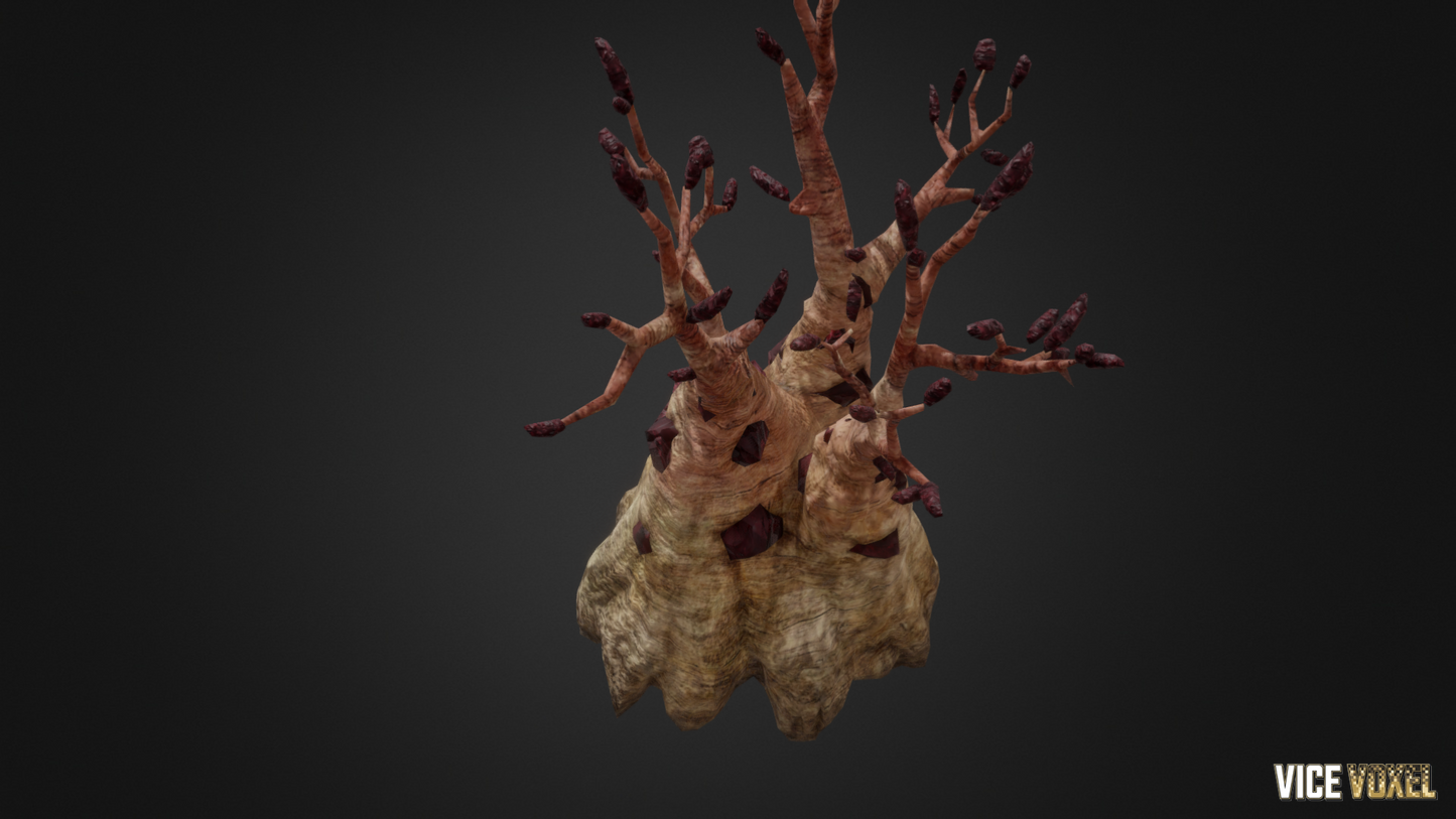 High Tree