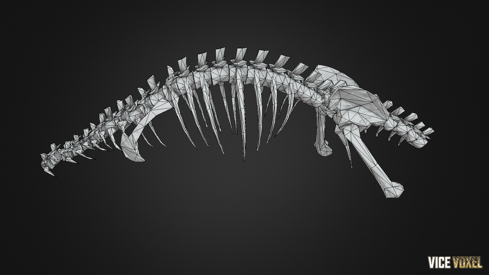 PBR Dinosaur Bone