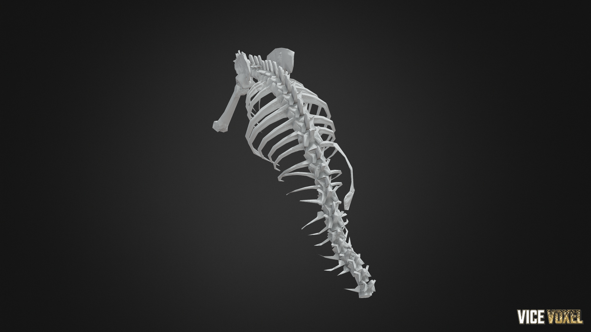 PBR Dinosaur Bone